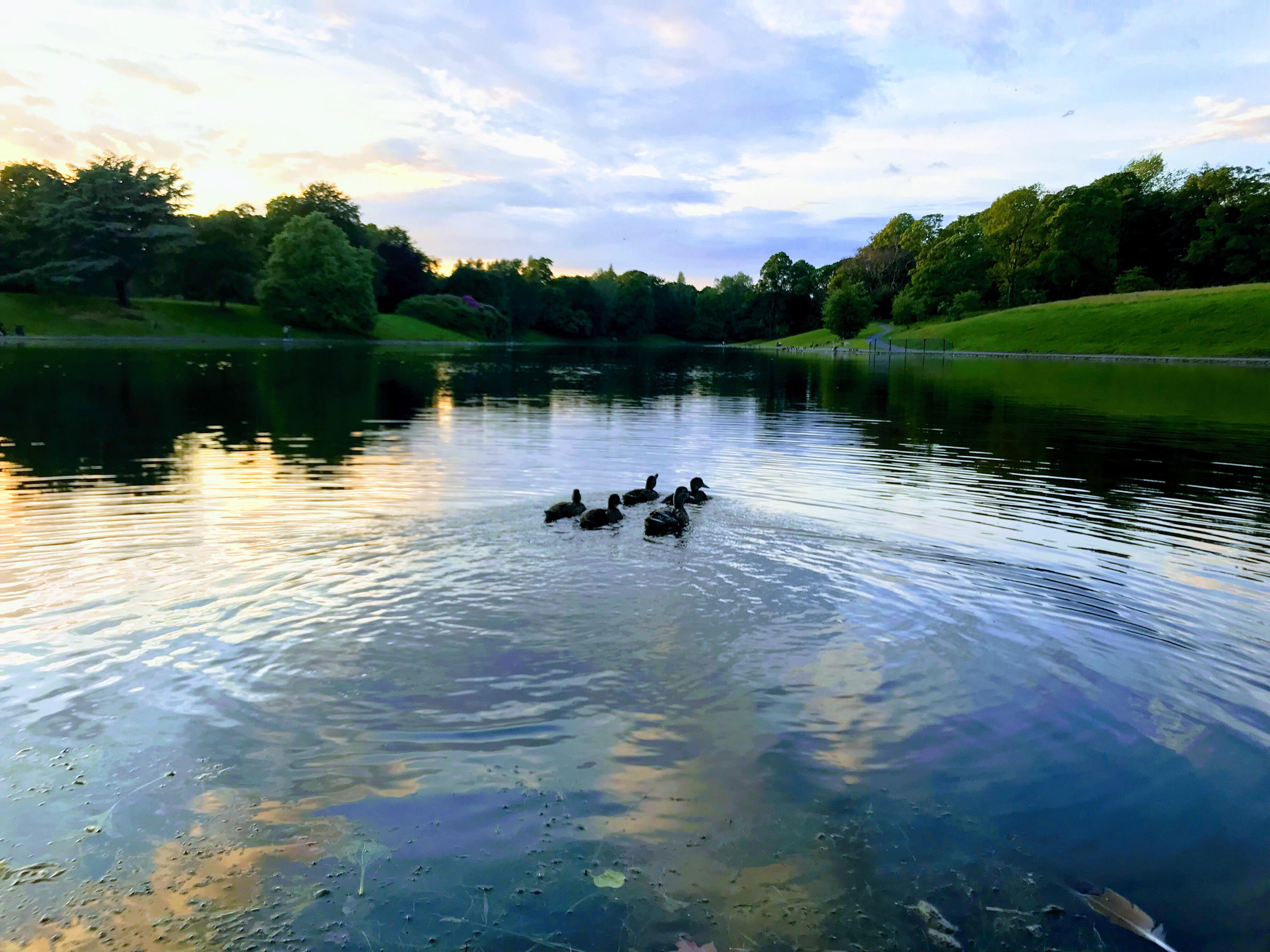 ליברפול Sefton Park Hotel מראה חיצוני תמונה